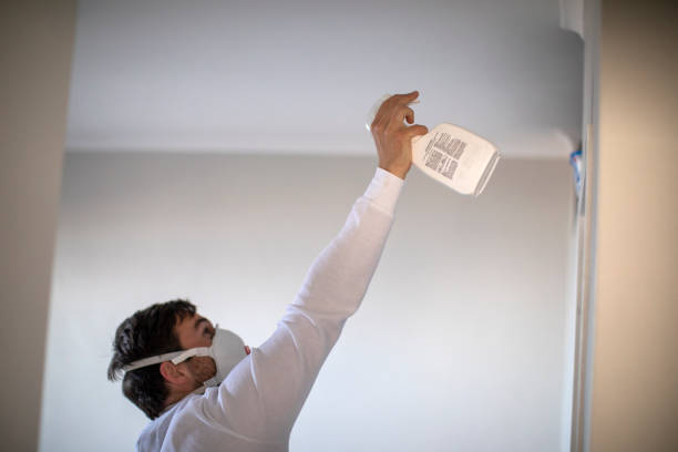 Best HVAC Mold Remediation in Lake Lorraine, FL